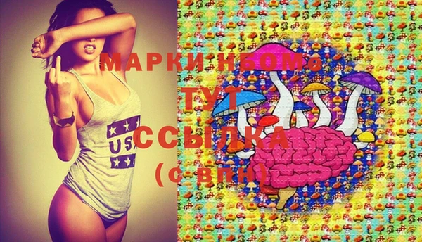 сатива Нефтекумск